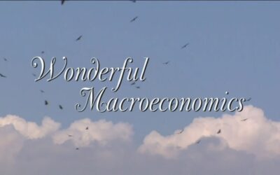 WONDERFUL MACROECONOMICS