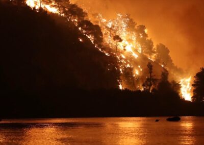 A wildfire burning through a coastal forest at night.