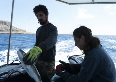 Two fishers handling their catch aboard a boat in the Mediterranean.